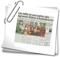 Article du 8 Mars 2009