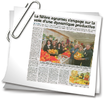 Article du 24 F�vrier 2008