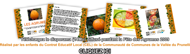 Diaporama CEL/PAM - 14Mo