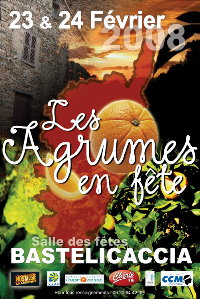 Affiche 2008