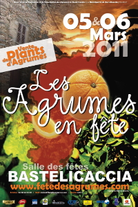 Affiche 2011