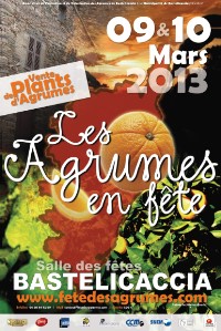 Affiche 2013